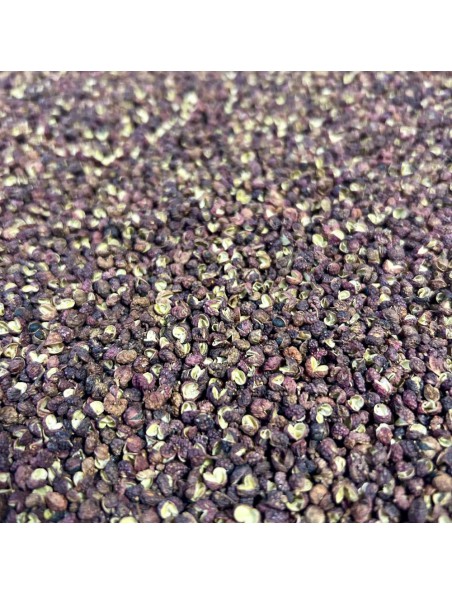 Achetez Poivre de Sichuan - Fruit 100g - Tisane de Zanthoxylum piperitum à l'herboristerie Louis Image principale de Poivre de Sichuan - Fruit 100g - Tisane de Zanthoxylum piperitum