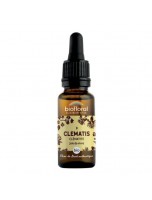Image de Clematis Clématite n°9 - Vitalité et Joie de Vivre Bio aux Fleurs de Bach 20 ml - Biofloral depuis 38 Fleurs de Bach unitaires - Commandez en ligne !