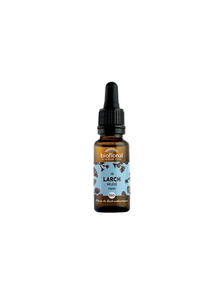 Image principale de la modale pour Larch Mélèze n°19 - Courage et Espoir Bio aux fleurs de Bach 20 ml - Biofloral