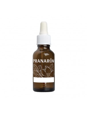 Image de Flacon vide Pipette  DIY de 30 ml - Pranarôm depuis Achetez les produits Pranarôm à l'herboristerie Louis (3)
