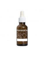 Image de Flacon vide Pipette  DIY de 30 ml - Pranarôm depuis Flacons et pots vides - Découvrez notre gamme de récipients pour vos préparations maison