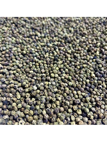 Achetez Poivre Vert - Grain 100g - Tisane de Piper Nigrum à l'herboristerie Louis Image principale de Poivre Vert - Grain 100g - Tisane de Piper Nigrum