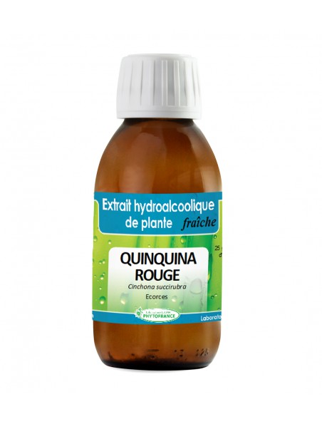 Image principale de Quinquina Rouge - Teinture mère de Cinchona calisaya - Phytofrance