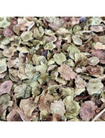Image de Paliure - Fruit 100g - Tisane de Paliurus aculeatus depuis ▷▷ Tisanes de plantes commençant par la lettre P