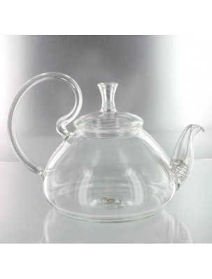 Image de Glass infuser "Simbad" with its integrated metal gooseneck teapot depuis Glass infusers for tea and herbal tea