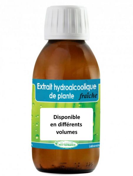 Image principale de Arnica des montagnes - Teinture mère Arnica montana part aer fl (usage externe) (bio-p)