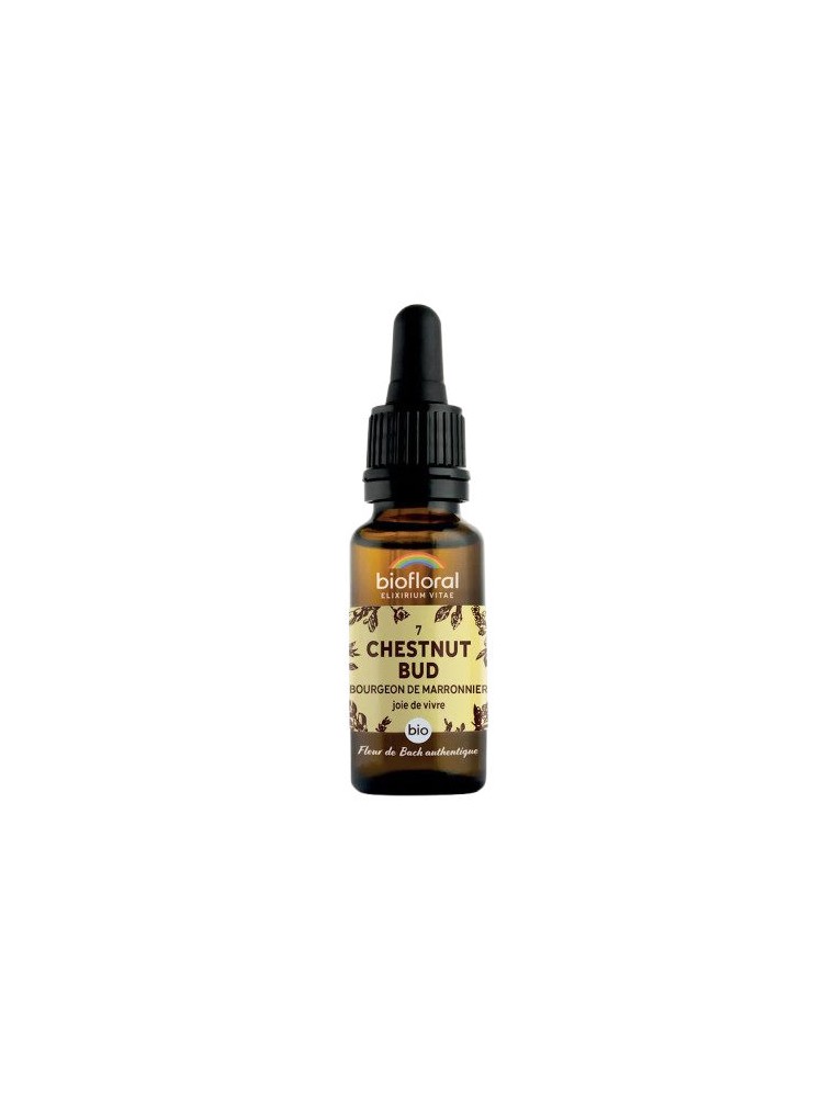 Image principale de la modale pour Chestnut bud Marronnier n°7 - Vitalité et Joie de Vivre Bio aux Fleurs de Bach 20 ml - Biofloral