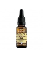 Image de Chestnut bud Marronnier n°7 - Vitalité et Joie de Vivre Bio aux Fleurs de Bach 20 ml - Biofloral depuis 38 Fleurs de Bach unitaires - Commandez en ligne !