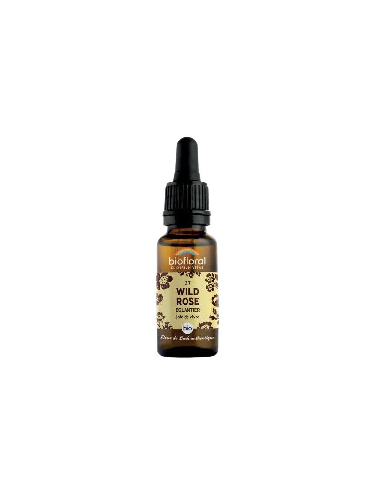 Image principale de la modale pour Wild Rose n°37 - Vitalité et Joie de Vivre Bio aux Fleurs de Bach 20 ml - Biofloral
