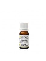 Image de Lavande de Séville Bio - Huile essentielle de Lavandula stoechas L. ssp luisieri 10 ml - Bioflore depuis ▷▷ Huiles essentielles de plantes commençant par la lettre L