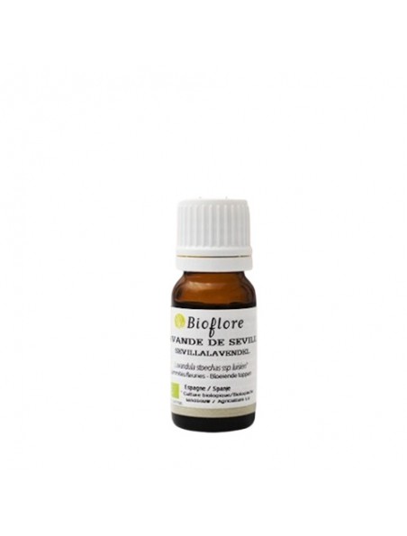 Image principale de Lavande de Séville Bio - Huile essentielle de Lavandula stoechas L. ssp luisieri 10 ml - Bioflore