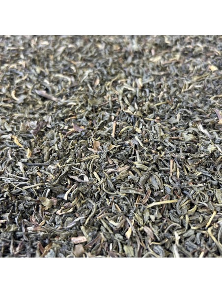 Achetez Jasmin Bio - Thé Vert de Chine 100 g à l'herboristerie Louis Image principale de Jasmin Bio - Thé Vert de Chine 100 g