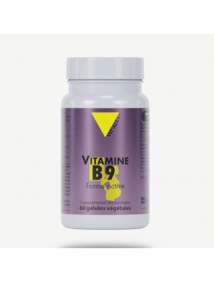 Image de Vitamine B9 Quatrefolic® - Grossesse 60 gélules végétales - Vit'all+ depuis Achetez les produits Vit'All + à l'herboristerie Louis (3)