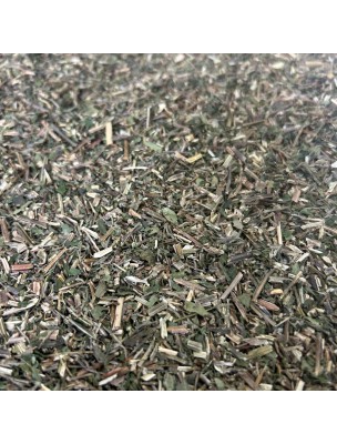 Image de Pariétaire - Partie aérienne coupée 100g - Tisane de Parietaria officinalis depuis louis-herboristerie