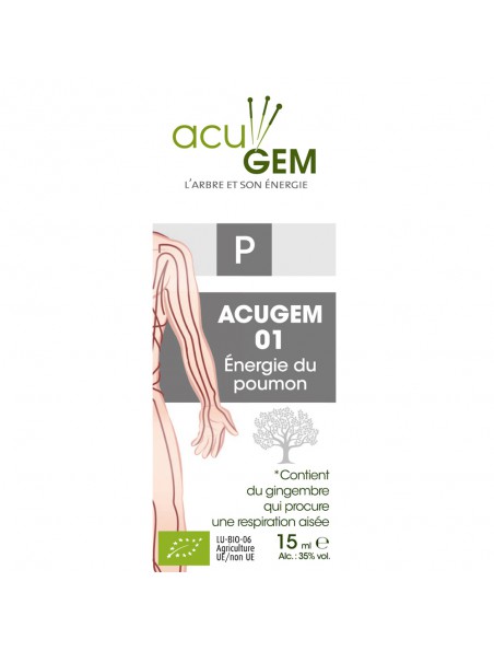 Achetez Acugem n°01 Bio - Energie du Poumon 15 ml - Alphagem à l'herboristerie Louis Image principale de Acugem n°01 Bio - Energie du Poumon 15 ml - Alphagem