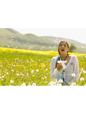 https://www.louis-herboristerie.com/7430-home_default/allargem-gc01-organic-allergies-15-ml-herbalgem.jpg