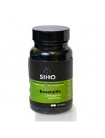 Image de Boostalife Bio - Défenses Naturelles 60 gélules - Siho depuis Champignons médicinaux - Bienfaits et vente en ligne