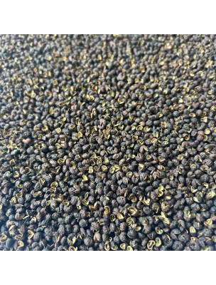 Image de Poivre Timut Bio - Grain 100g - Tisane de Zanthoxylum armatum depuis louis-herboristerie