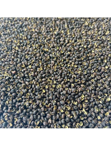 Achetez Poivre Timut Bio - Grain 100g - Tisane de Zanthoxylum armatum à l'herboristerie Louis Image principale de Poivre Timut Bio - Grain 100g - Tisane de Zanthoxylum armatum