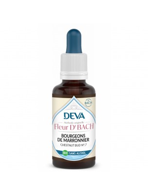Image de Bourgeons de Marronnier Sans Alcool Bio - Attention Elixir Floral de Bach 30 ml - Deva depuis Commandez les produits Deva à l'herboristerie Louis