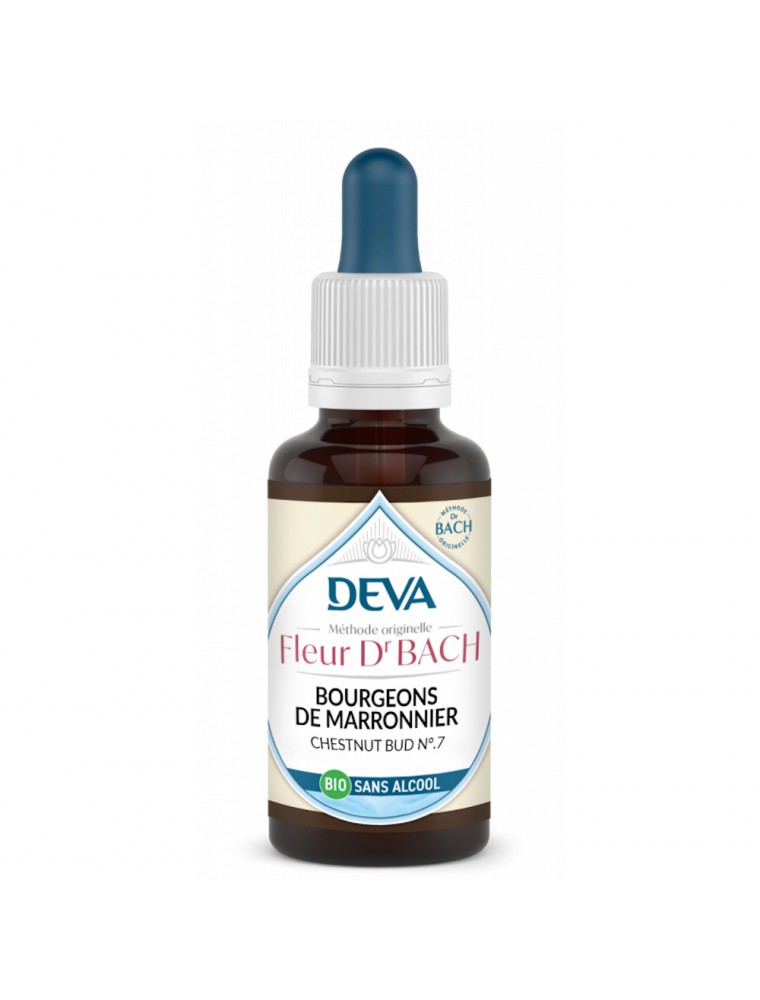 Image principale de la modale pour Bourgeons de Marronnier Sans Alcool Bio - Attention Elixir Floral de Bach 30 ml - Deva