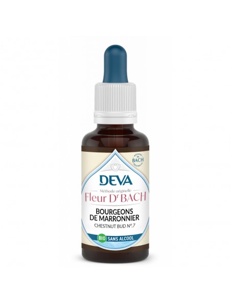 Achetez Bourgeons de Marronnier Sans Alcool Bio - Attention Elixir Floral de Bach 30 ml - Deva à l'herboristerie Louis Image principale de Bourgeons de Marronnier Sans Alcool Bio - Attention Elixir Floral de Bach 30 ml - Deva