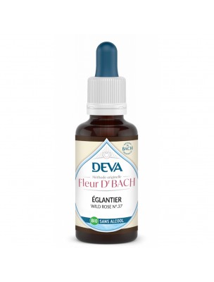 Image de Églantier Sans Alcool Bio - Motivation et intérêt dans la vie Élixir Floral de Bach 30 ml - Deva depuis Achetez les produits Deva à l'herboristerie Louis (2)