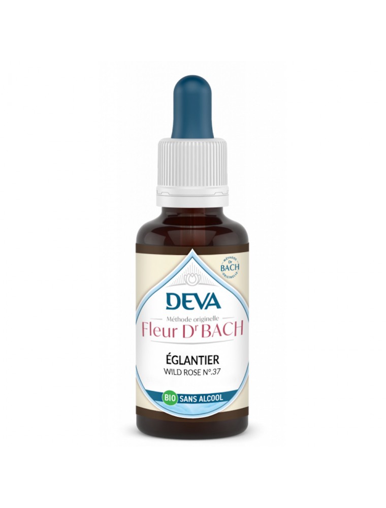 Image principale de la modale pour Églantier Sans Alcool Bio - Motivation et intérêt dans la vie Élixir Floral de Bach 30 ml - Deva