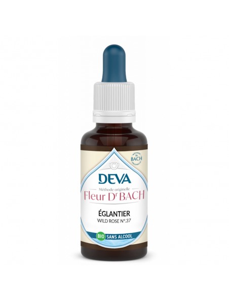 Achetez Églantier Sans Alcool Bio - Motivation et intérêt dans la vie Élixir Floral de Bach 30 ml - Deva à l'herboristerie Louis Image principale de Églantier Sans Alcool Bio - Motivation et intérêt dans la vie Élixir Floral de Bach 30 ml - Deva
