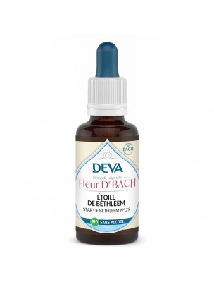 Image de Étoile de Bethléem Sans Alcool Bio - Paix et Réconfort Élixir Floral de Bach 30 ml - Deva depuis Achetez les produits Deva à l'herboristerie Louis (3)