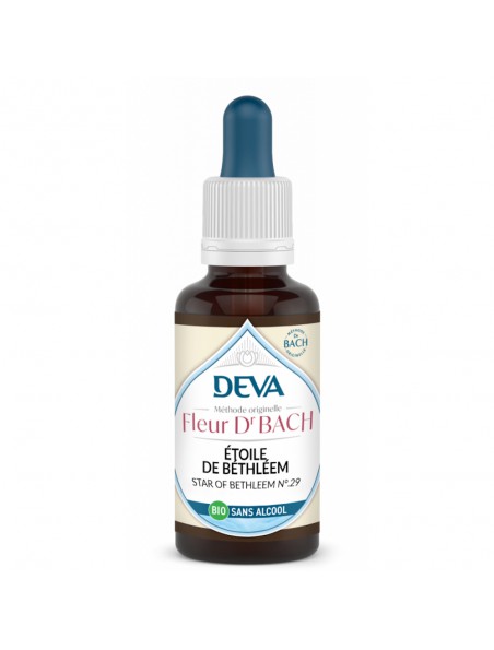 Achetez Étoile de Bethléem Sans Alcool Bio - Paix et Réconfort Élixir Floral de Bach 30 ml - Deva à l'herboristerie Louis Image principale de Étoile de Bethléem Sans Alcool Bio - Paix et Réconfort Élixir Floral de Bach 30 ml - Deva