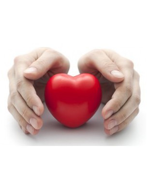 https://www.louis-herboristerie.com/7484-home_default/cholestegem-gc06-organic-cholesterol-30-ml-herbalgem.jpg
