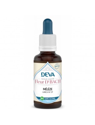 Image de Mélèze Sans Alcool Bio - Confiance en soi Élixir Floral de Bach 30 ml - Deva depuis Achetez les produits Deva à l'herboristerie Louis (4)