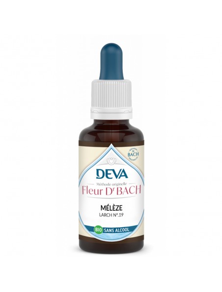 Achetez Mélèze Sans Alcool Bio - Confiance en soi Élixir Floral de Bach 30 ml - Deva à l'herboristerie Louis Image principale de Mélèze Sans Alcool Bio - Confiance en soi Élixir Floral de Bach 30 ml - Deva