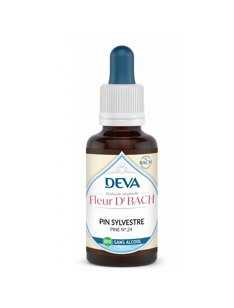Image principale de la modale pour Pin sylvestre Sans Alcool Bio - Repentir et Humilité Élixir Floral de Bach 30 ml - Deva