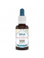 Image de Pommier sauvage Sans Alcool Bio - Sentiment de pureté Élixir Floral de Bach 30 ml - Deva depuis 38 Fleurs de Bach unitaires - Commandez en ligne ! (4)