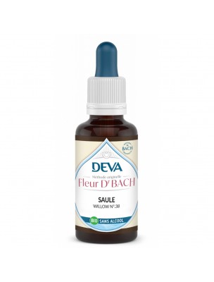 Image de Saule Sans Alcool Bio - Acceptation de ses responsabilités Élixir Floral de Bach 30 ml - Deva depuis Commandez les produits Deva à l'herboristerie Louis