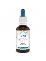 Image de Saule Sans Alcool Bio - Acceptation de ses responsabilités Élixir Floral de Bach 30 ml - Deva depuis 38 Fleurs de Bach unitaires - Commandez en ligne ! (4)
