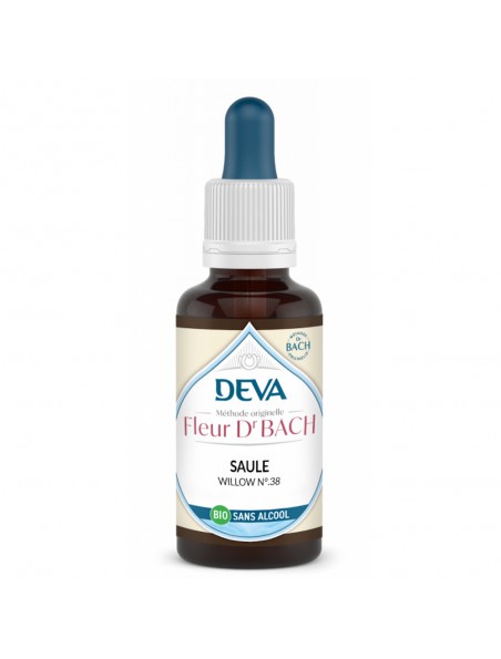 Achetez Saule Sans Alcool Bio - Acceptation de ses responsabilités Élixir Floral de Bach 30 ml - Deva à l'herboristerie Louis Image principale de Saule Sans Alcool Bio - Acceptation de ses responsabilités Élixir Floral de Bach 30 ml - Deva