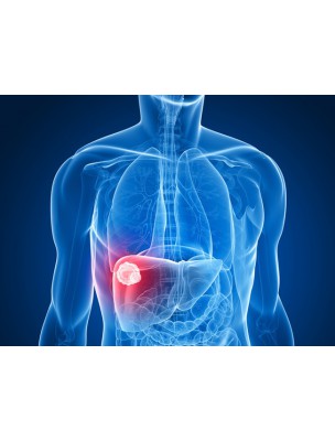 https://www.louis-herboristerie.com/7496-home_default/depuragem-gc07-organic-liver-drainage-30-ml-herbalgem.jpg