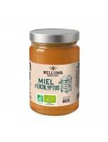 Image de Miel d'Eucalyptus Bio - Miel Puissant et Boisé 400g - Mellidor depuis Miels naturels et biologiques | Louis Herboristerie