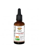 Image de Bourgeon de Tilleul sauvage du Roussillon Bio - Extrait végétal alcoolisé 50 ml - La Gravelline depuis Herboristerie Louis - Produits de phytothérapie et d'herboristerie en ligne (26)