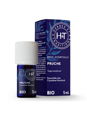 Image de Pruche Bio - Huile essentielle de Tsuga canadensis 5 ml - Herbes et Traditions depuis louis-herboristerie
