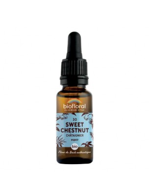 Image de Sweet Chesnut Châtaigner n°30 - Courage et espoir Bio aux fleurs de Bach 20 ml - Biofloral depuis Willow Saule n°38 Biofloral - Fleurs de Bach 20ml