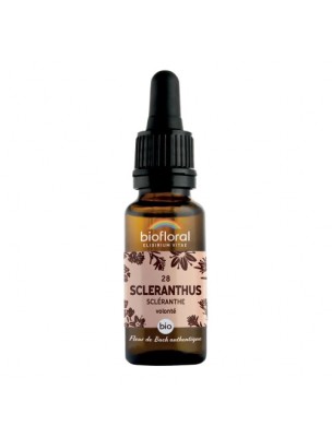 Image de Scleranthus n°28 - Force et Volonté Bio aux Fleurs de Bach 20 ml - Biofloral depuis Fleurs de Bach Wild oat n°36 - Biofloral - 20 ml
