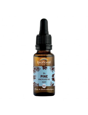 Image de Pine Pin sylvestre n°24 - Courage et espoir Bio aux fleurs de Bach 20 ml - Biofloral depuis Achetez les produits Biofloral à l'herboristerie Louis