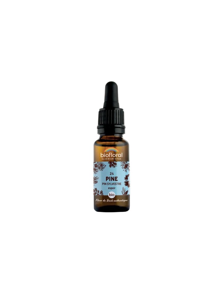 Image principale de la modale pour Pine Pin sylvestre n°24 - Courage et espoir Bio aux fleurs de Bach 20 ml - Biofloral