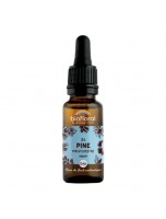 Image de Pine Pin sylvestre n°24 - Courage et espoir Bio aux fleurs de Bach 20 ml - Biofloral depuis 38 Fleurs de Bach unitaires - Commandez en ligne ! (3)