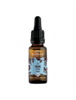 Image de Oak Chêne n°22 - Courage et Espoir Bio aux fleurs de Bach 20 ml - Biofloral depuis Herboristerie Louis - Produits de phytothérapie et d'herboristerie en ligne (120)