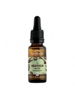Image de Heather Bruyère n°14 - Communication et Sociabilité Bio aux Fleurs de Bach 20 ml - Biofloral depuis Fleurs de Bach naturelles pour votre bien-être | Boutique en ligne (6)